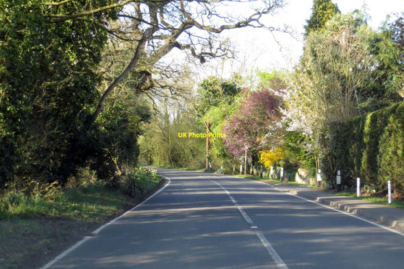 Photo 6"x4" Lodge Road to Twyford Hurst\/SU7973 c2014 P1