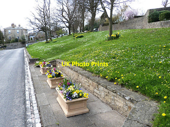 Photo 6"x4" Floral display on the village green at Witton-le-Wear Witton-le-Wear c2014