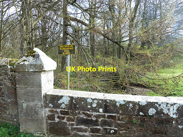 Photo 6"x4" Prohibition at Witton Park Phoenix Row c2014