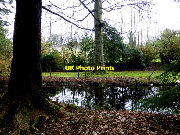 Photo 6"x4" Lade, Omagh Omagh c2014 P1