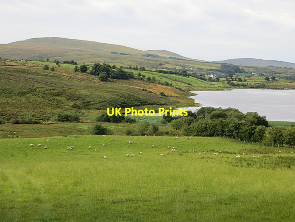 Photo 6"x4" Lough Ash Dunnamanagh c2013