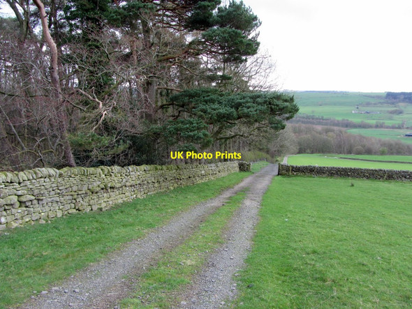 Photo 6"x4" Track by Blackhall Plantation Chesterwood c2014