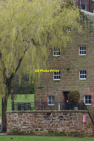 Photo 6"x4" Willow and old building beside the Nith, Dumfries Dumfries c2014