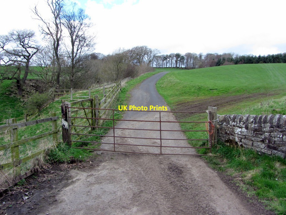 Photo 6"x4" Track north of A69 at Crow Hall Bardon Mill c2014