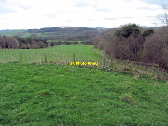 Photo 6"x4" Pasture near Whitchells Wood Thorngrafton c2014