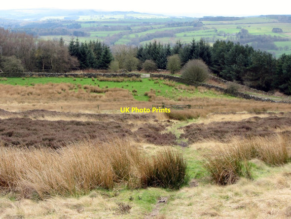 Photo 6"x4" Path on Thorngrafton Common Thorngrafton c2014