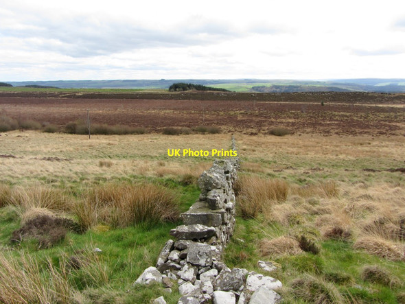 Photo 6"x4" Wall at Muckle Moss Thorngrafton c2014