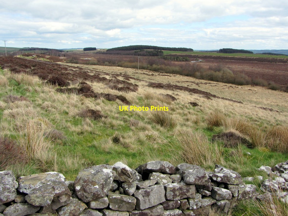 Photo 6"x4" Muckle Moss National Nature Reserve Thorngrafton c2014