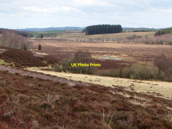 Photo 6"x4" Muckle Moss National Nature Reserve Thorngrafton c2014