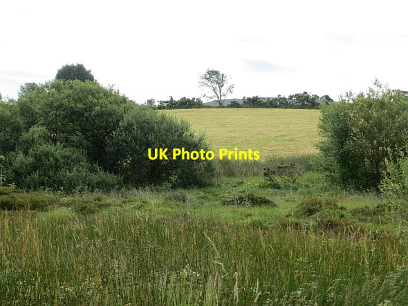 Photo 6"x4" A wet hollow Dunnamanagh c2013