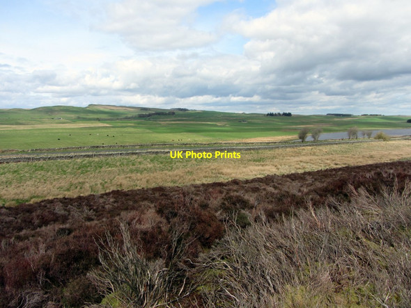 Photo 6"x4" Moorland south of Stanegate Thorngrafton c2014