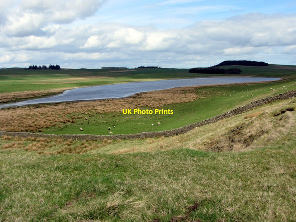 Photo 6"x4" West end of Grindon Lough Chesterwood c2014