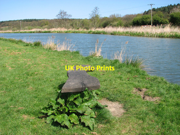 Photo 6"x4" Seat beside the Dilham Canal Meeting House Hill c2014