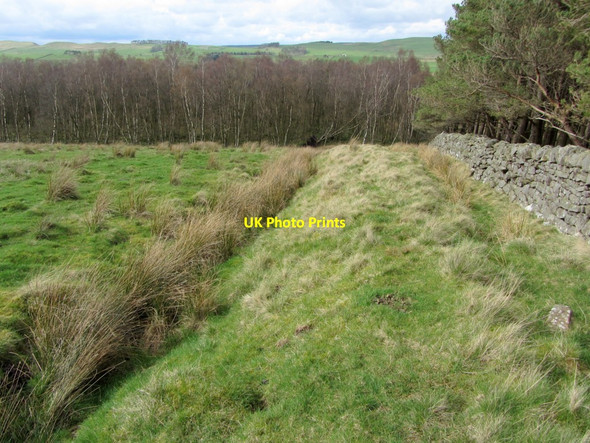 Photo 6"x4" Black Dyke approaching Muckle Moss Chesterwood c2014