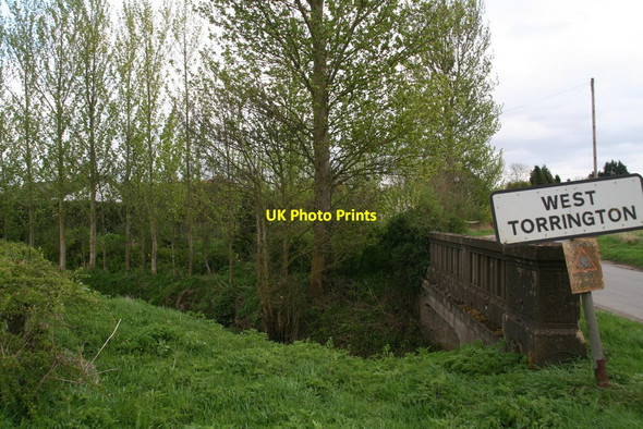 Photo 6"x4" Concrete bridge and row of saplings, West Torrington West Torrington c2014