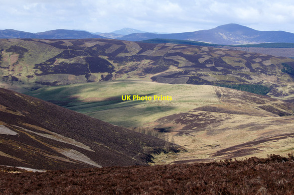 Photo 6"x4" Valley of the Burn of Dairy, west of Cat Law Balintore\/NO2859 c2014