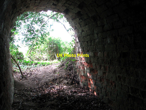 Photo 6"x4" View  out of  the entrance of an old lime kiln Corpusty c2014