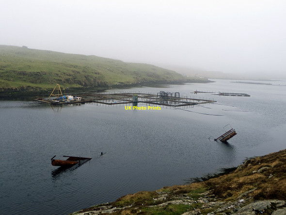 Photo 6"x4" A salmon farm in West Voe, Housay Bruray c2014