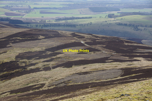 Photo 6"x4" Track up the SE flanks of Cat Law Ascreavie c2014