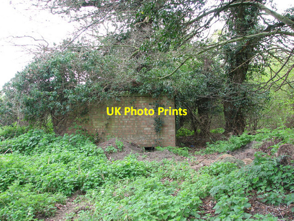 Photo 6"x4" WW2 Home Guard shelter, Ringland Ringland\/TG1314 c2014