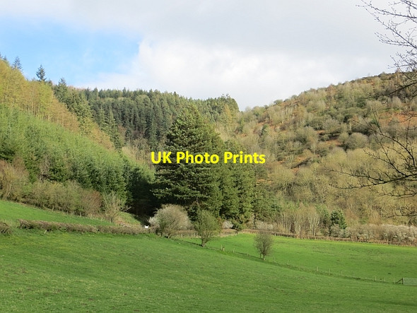 Photo 6"x4" Bucknell Hill Mynd\/SO3574 c2014