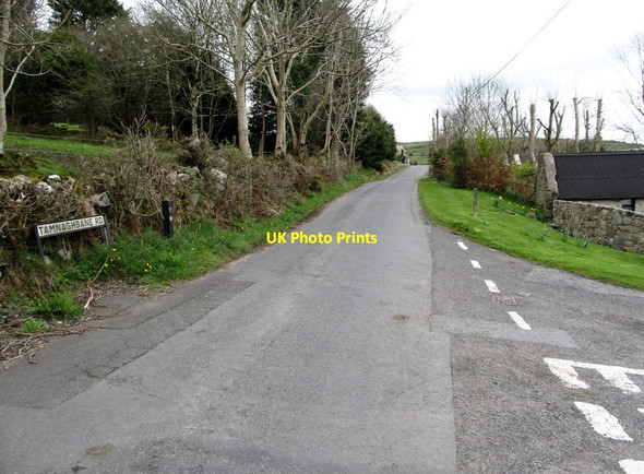 Photo 6"x4" View east along Tamnaghbane Road from the junction with Mill Road Camlough c2014