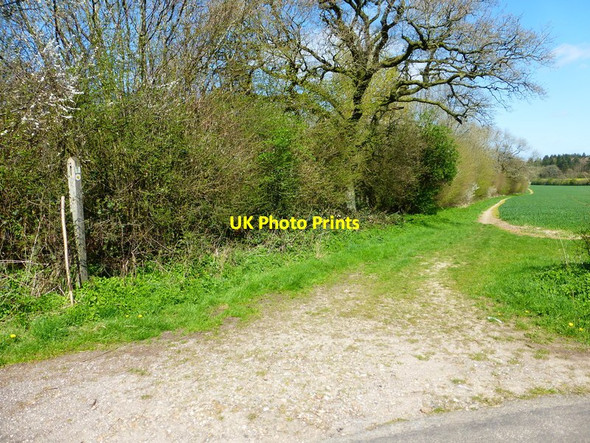 Photo 6"x4" Footpath from Farleigh Lane by Rowley Copse Dummer c2014