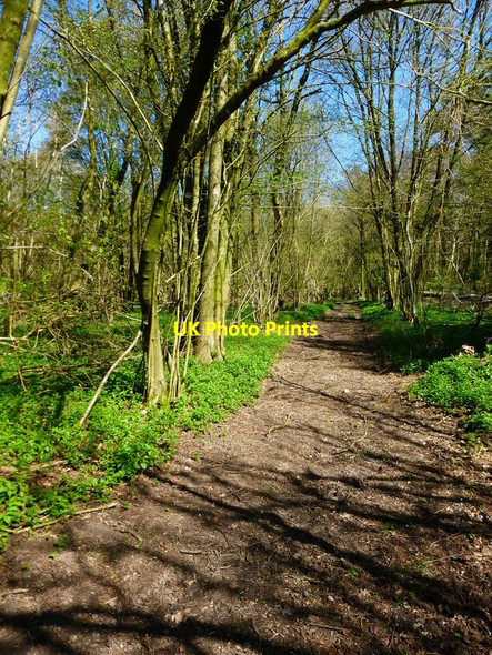 Photo 6"x4" Private path in Shortwood's Copse Broadmere c2014