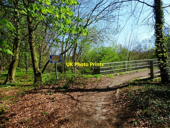 Photo 6"x4" Northern end of footbridge over the M3 Hatch Warren c2014