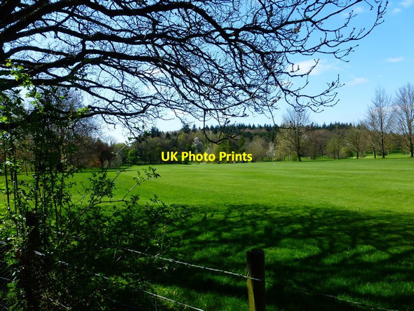Photo 6"x4" Basingstoke Golf Course seen from footpath Hatch Warren c2014