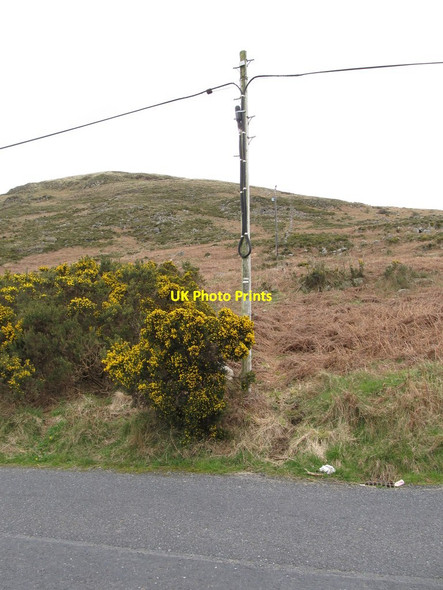 Photo 6"x4" Telephone line alongside Keggall Road Camlough c2014