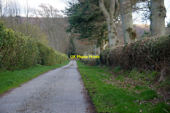 Photo 6"x4" Drive to Hallyburton House Coupar Angus c2014