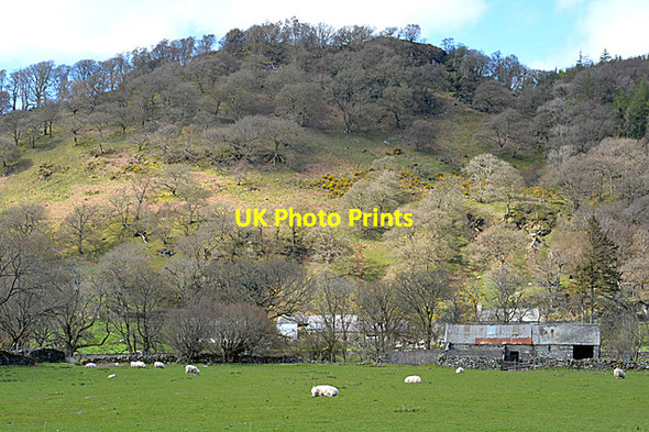 Photo 6"x4" Field and farm buildings at Caer Llugwy Capel Curig c2014