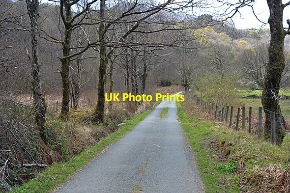 Photo 6"x4" Minor road south of the Afon Llugwy Capel Curig c2014