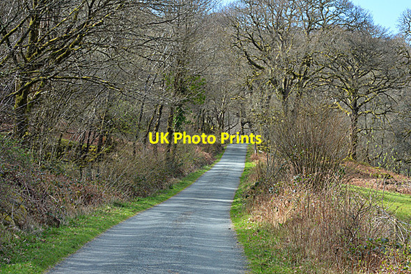 Photo 6"x4" Minor road heading for Pont Cyfyng Capel Curig c2014