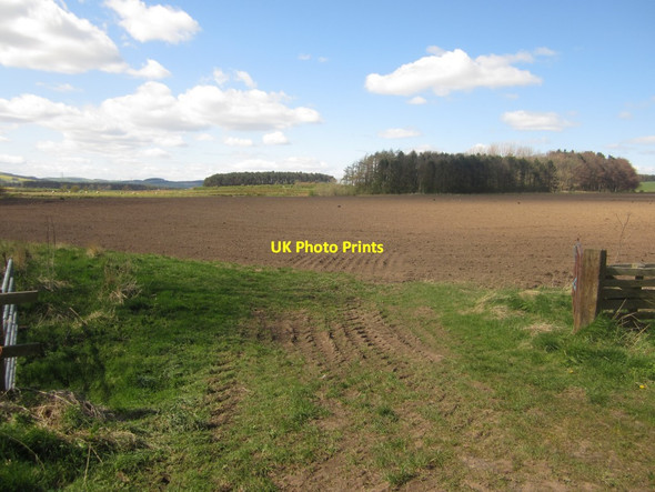 Photo 6"x4" Freshly cultivated field at East Fenton Fenton\/NT9733 c2014