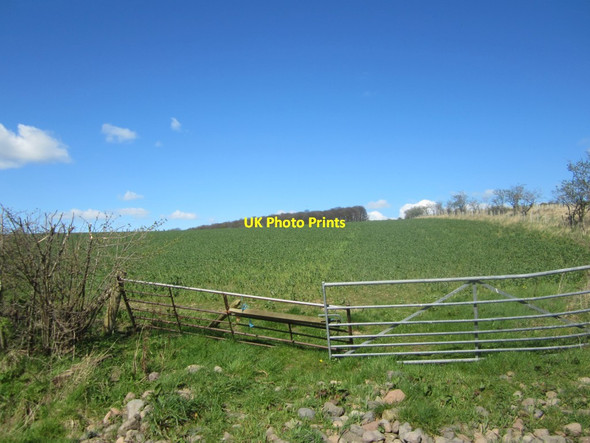 Photo 6"x4" Makeshift field gates Fenton\/NT9733 c2014
