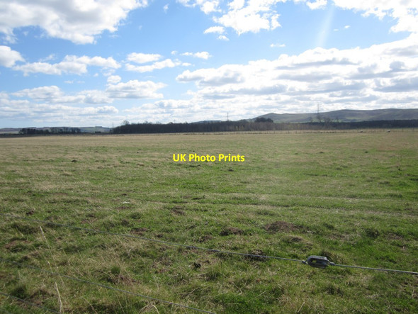 Photo 6"x4" Grassland west of Fenton Fenton\/NT9733 c2014