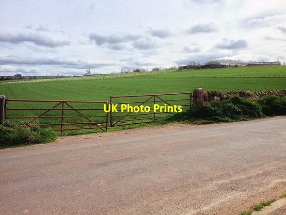 Photo 6"x4" Fields near Rheged Penrith c2014