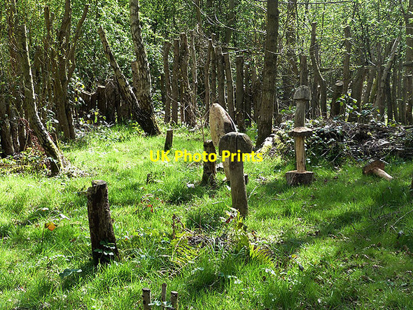 Photo 6"x4" Giant mushrooms at Washington Wetland Centre Washington\/NZ3157 c2014