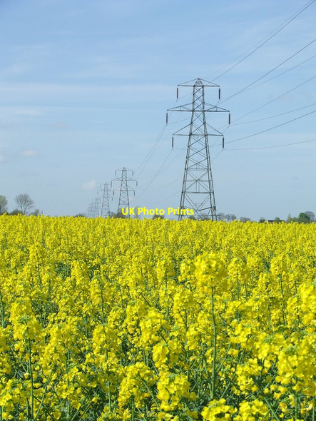 Photo 6"x4" Pylons And Rape Laxfield c2014