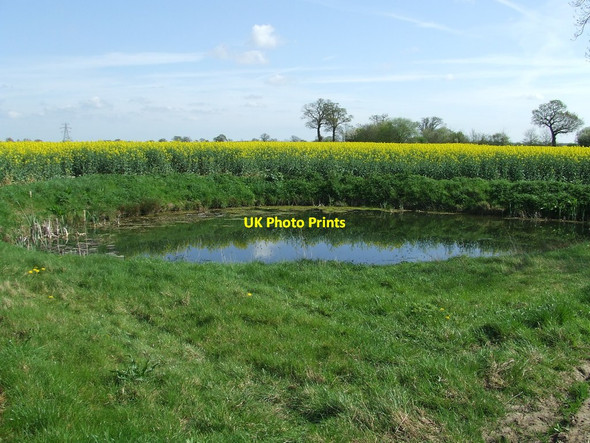 Photo 6"x4" Small Pond Laxfield c2014
