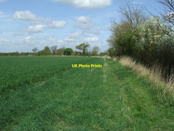 Photo 6"x4" Footpath And Hedge Line Laxfield c2014