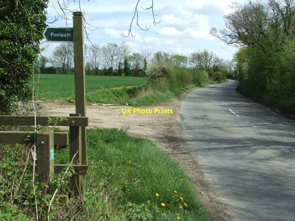 Photo 6"x4" Footpath Off The B1117 Heveningham c2014