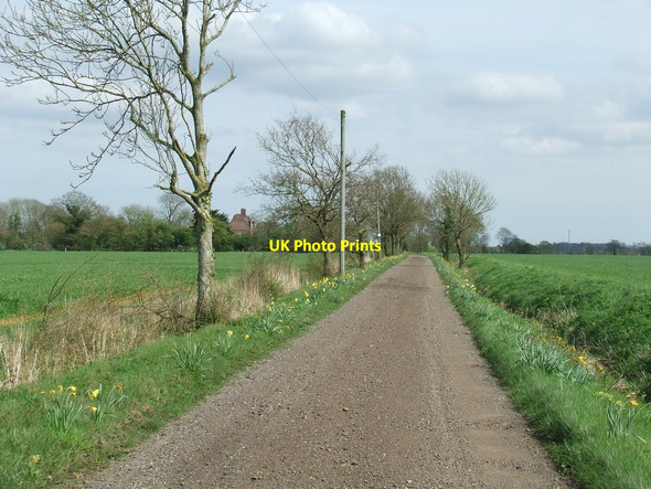Photo 6"x4" Farm Track Heveningham c2014