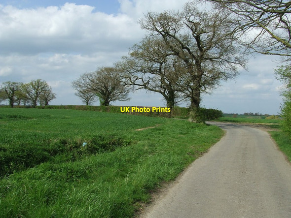 Photo 6"x4" Bend On Country Road Huntingfield\/TM3374 c2014