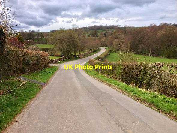 Photo 6"x4" The Road to Dacre Dacre\/NY4526 c2014