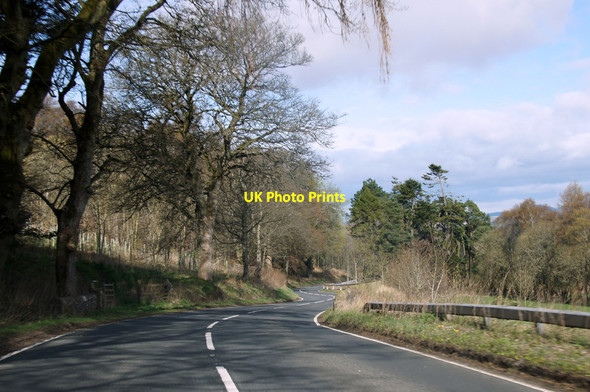 Photo 6"x4" B954 at Millhole above Newtyle Newtyle\/NO2941 c2014