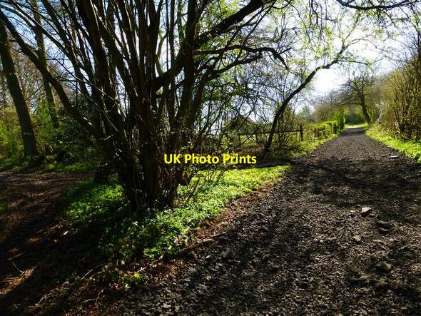 Photo 6"x4" Farm track going south west towards Hen Wood Tunworth c2014