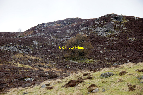 Photo 6"x4" Creag na Lair, Glen Shee Cray\/NO1463 c2014